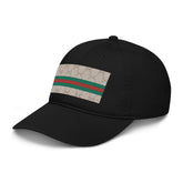 PANEL™ Gecci embroidered organic dad hat (5 colors)