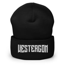 Kép betöltése a galériamegjelenítőbe: CityZEN "ALL HOODS" cuffed beanies BLK (64 HOODS🔥)

