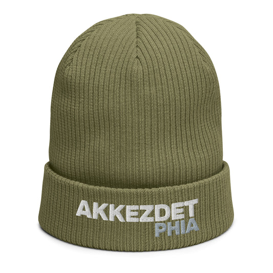 AKKEZDET PHIA 100% organic ribbed beanie (4 color)